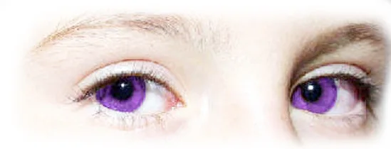 ojos 1