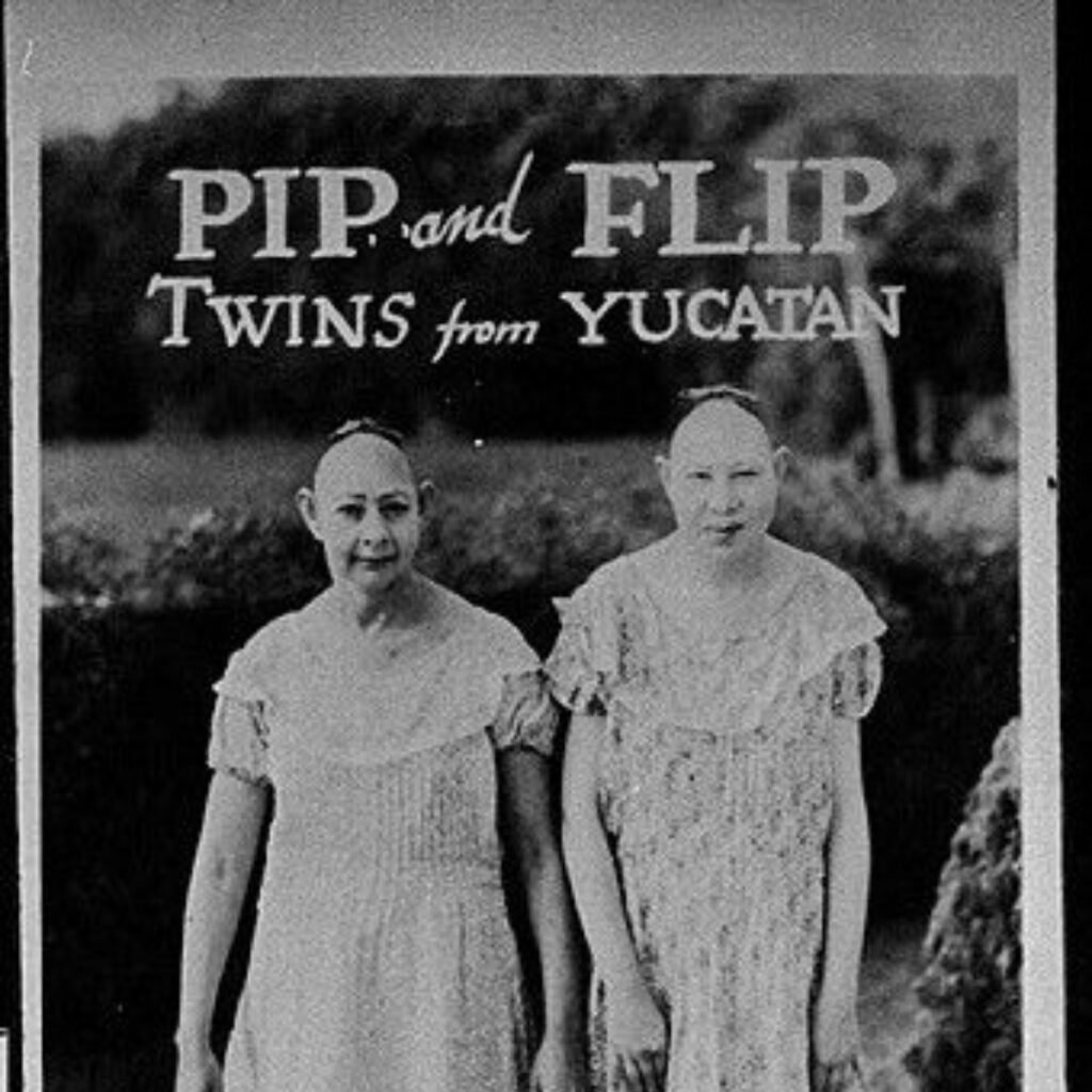 Naomi Grossman - Pip Y Flip, gemelos de Yucatán