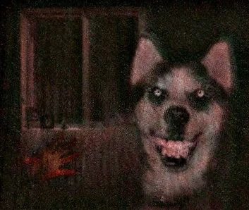 la leyenda de smile.dog