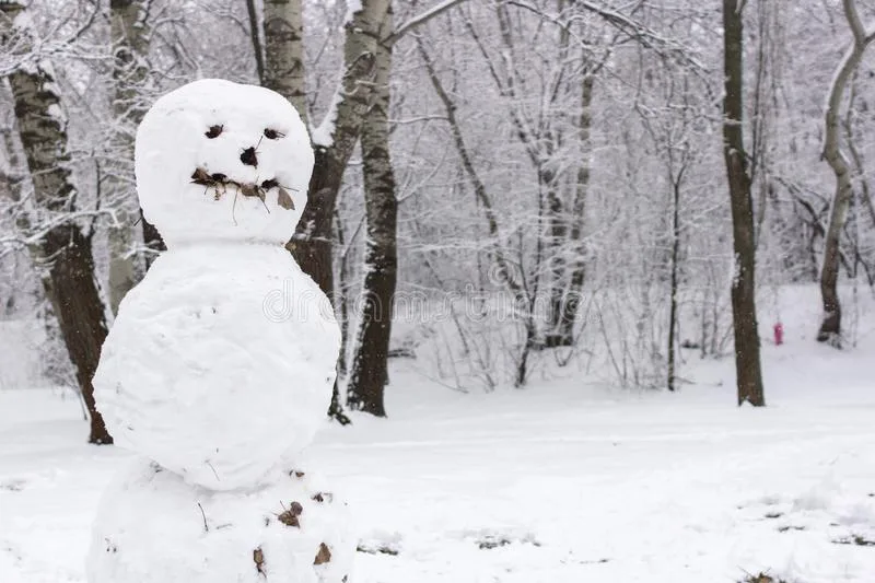 el muñeco de nieve, una historia de terror corta