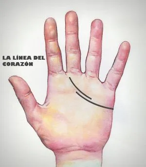 linea del corazón