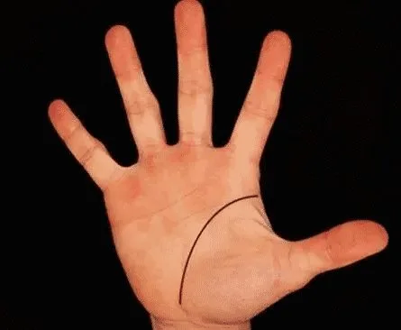 linea de la vida