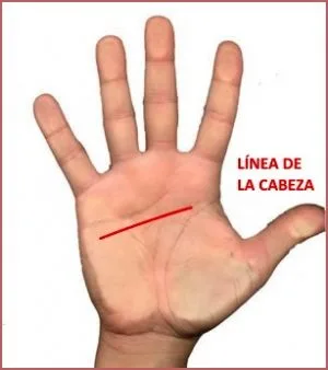 línea de la cabeza